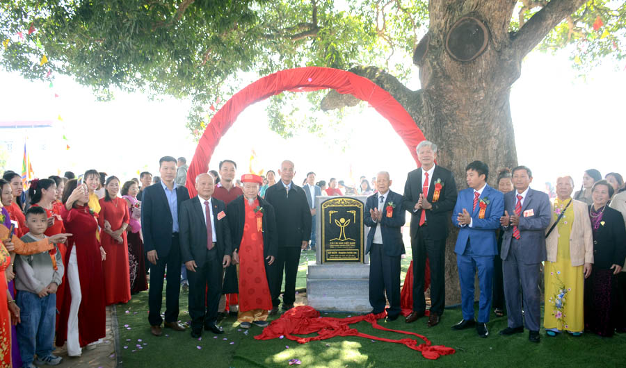 C&acirc;y[-]Đại[-]thụ[-]trước[-]ng&ocirc;i[-]Đ&igrave;nh[-]cổ[-]v&ugrave;ng[-]ven[-]Đ&ocirc;[-]được[-]vinh[-]danh[-]C&acirc;y[-]Di[-]sản[-]Việt[-]Nam